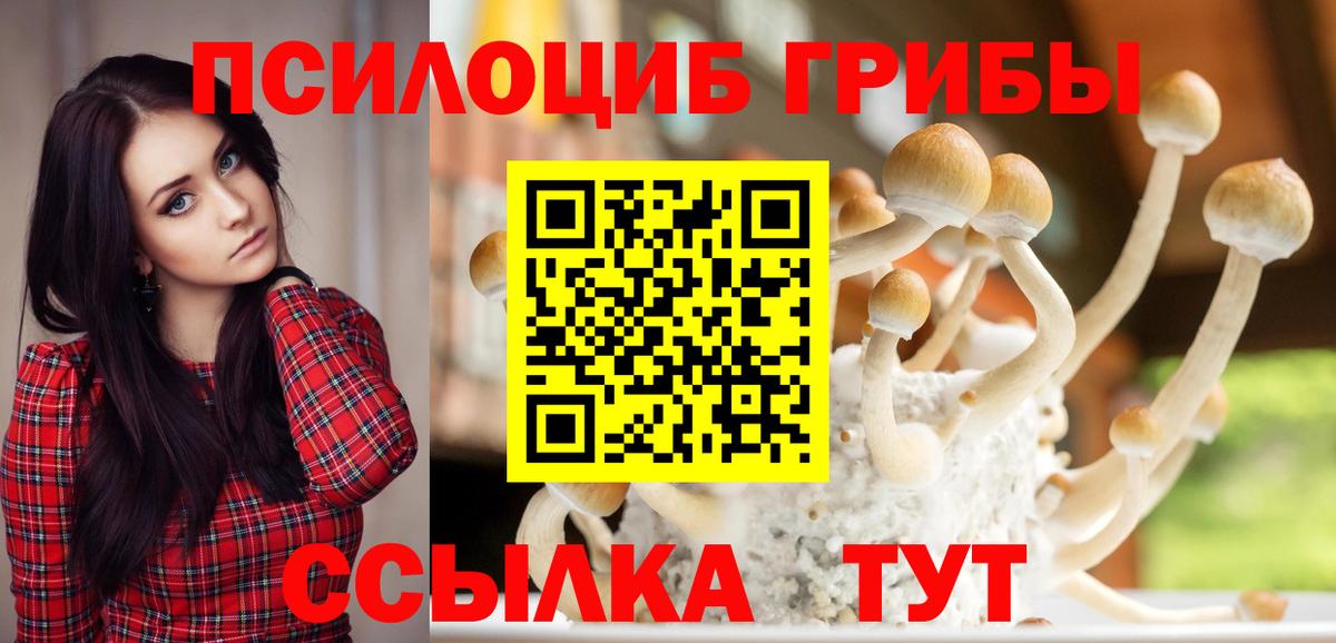 Кувандык  Галлюциногенные грибы GOLDEN TEACHER  Вход с VPN 
